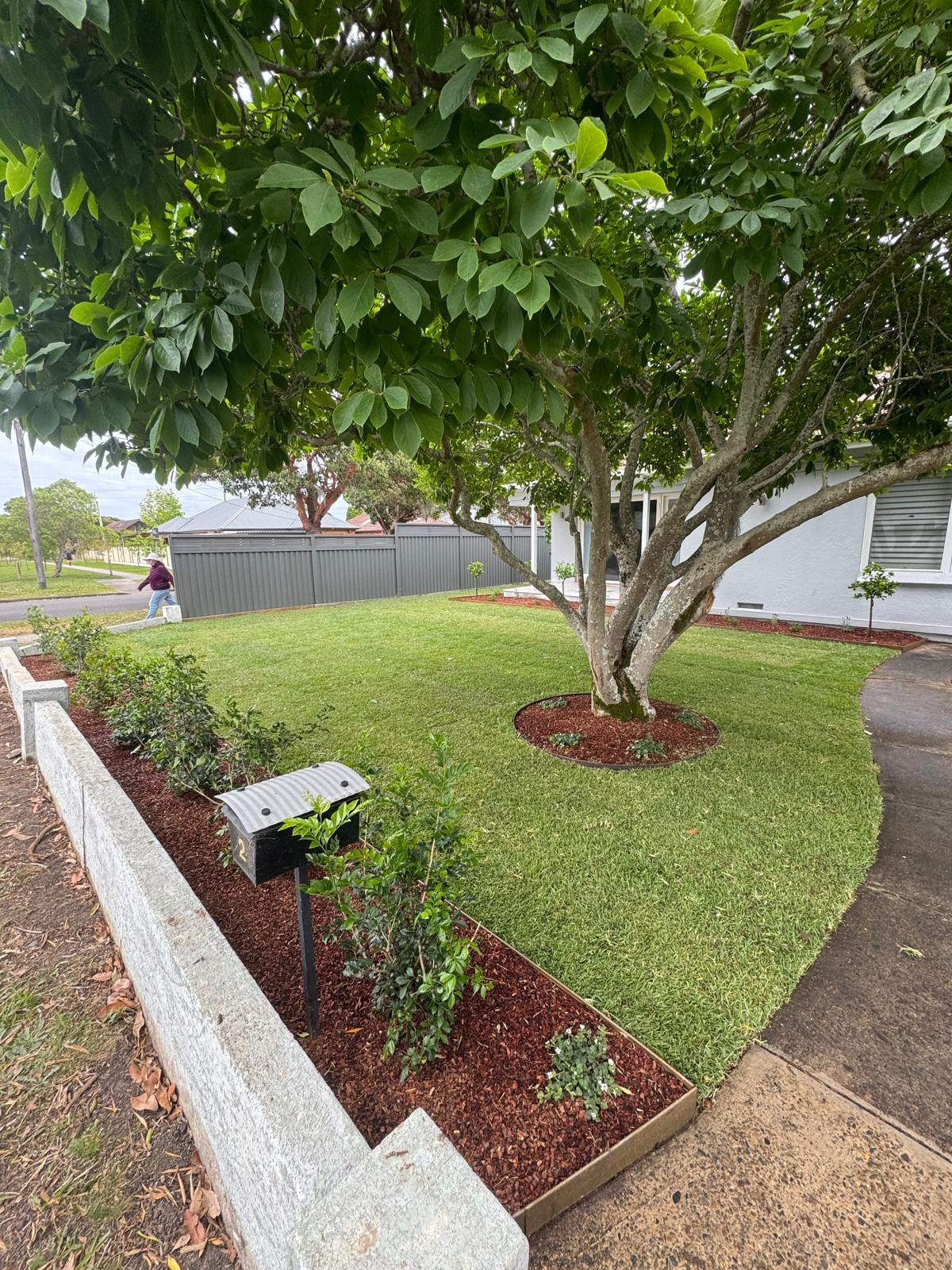 Front yard with new turf, red mulch garden beds, sandstone edging and established tree