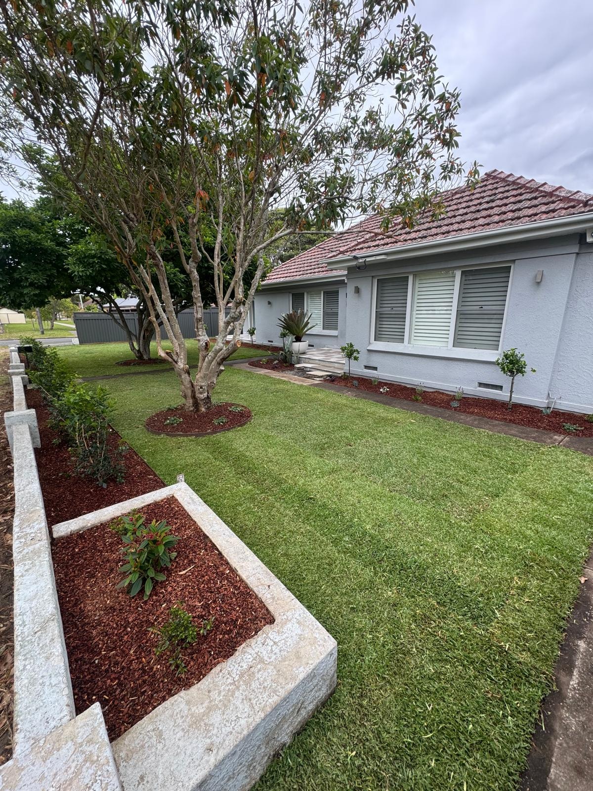Grey rendered home with fresh turf lawn, red mulch garden beds and established trees