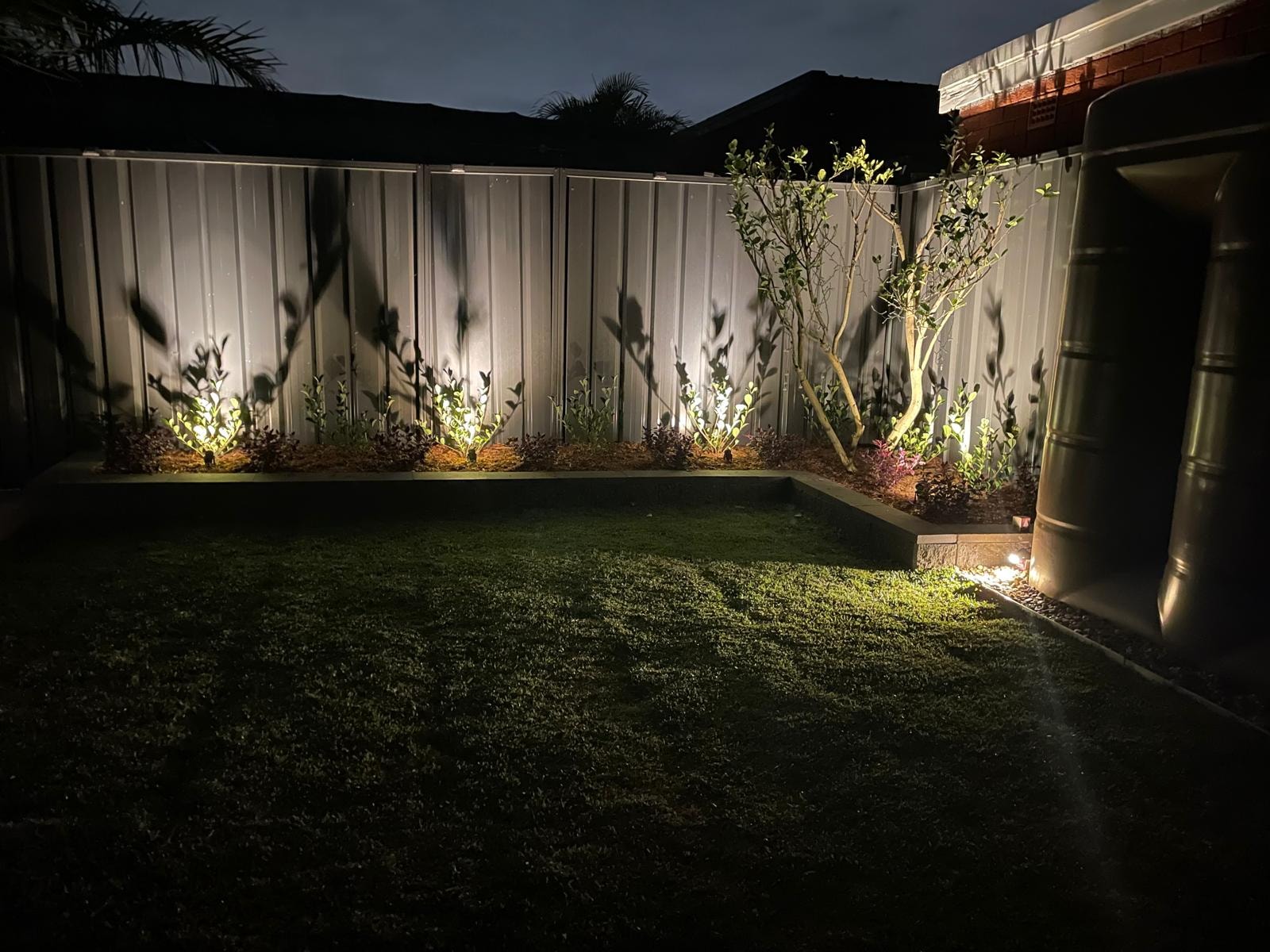 Night garden with LED uplighting on plants and lawn against Colorbond fence