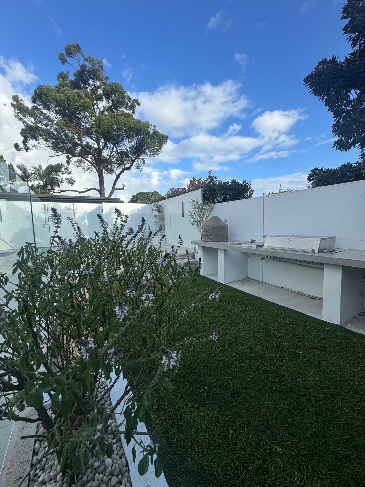 Outdoor kitchen and BBQ area with lawn, glass fence and garden planting