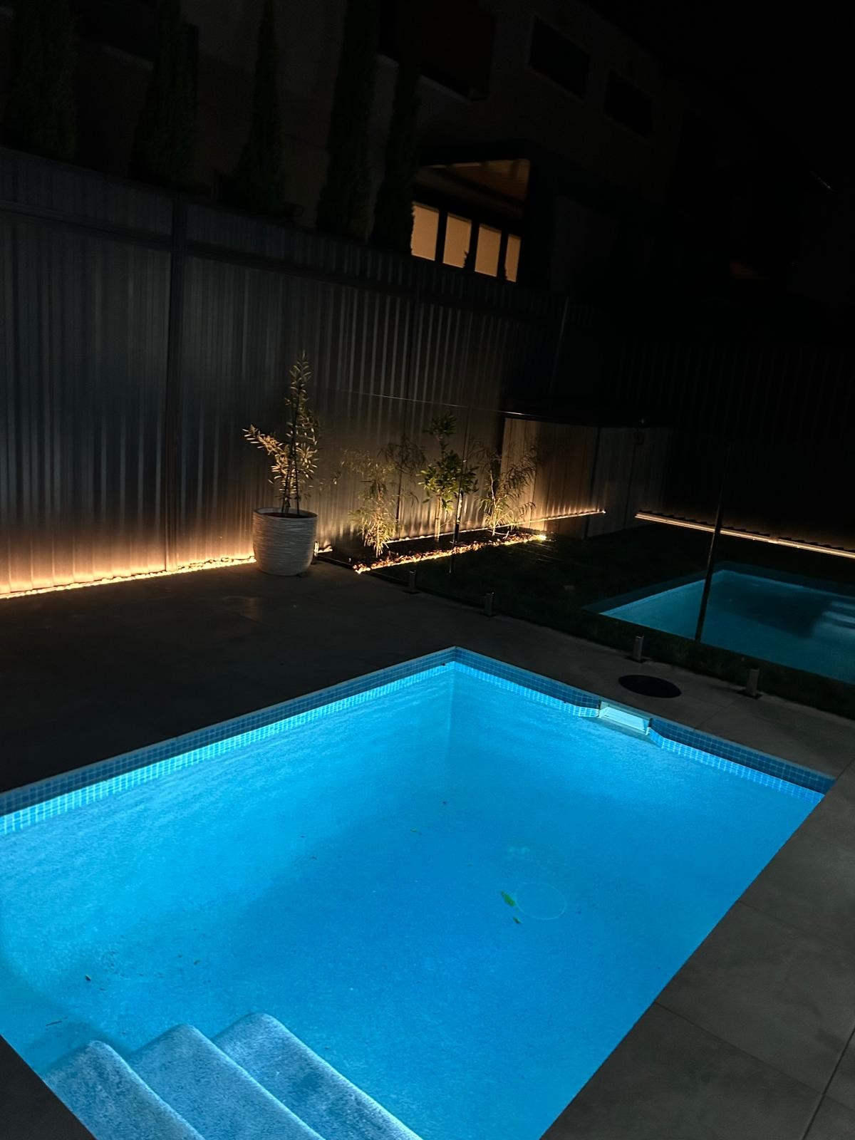 Blue LED lit pool at night with uplighting on potted plants and garden bed against Colorbond fence