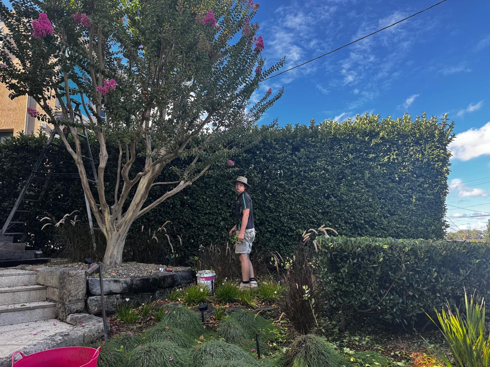 GPC Landscapes team member tending garden bed beside flowering crepe myrtle tree