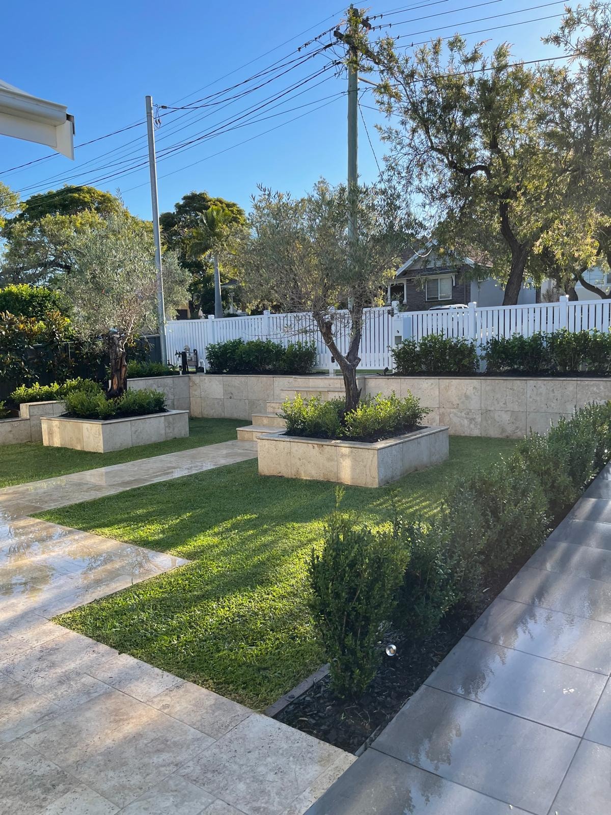 Formal front garden with travertine paving, raised sandstone planters, olive trees and white picket fence