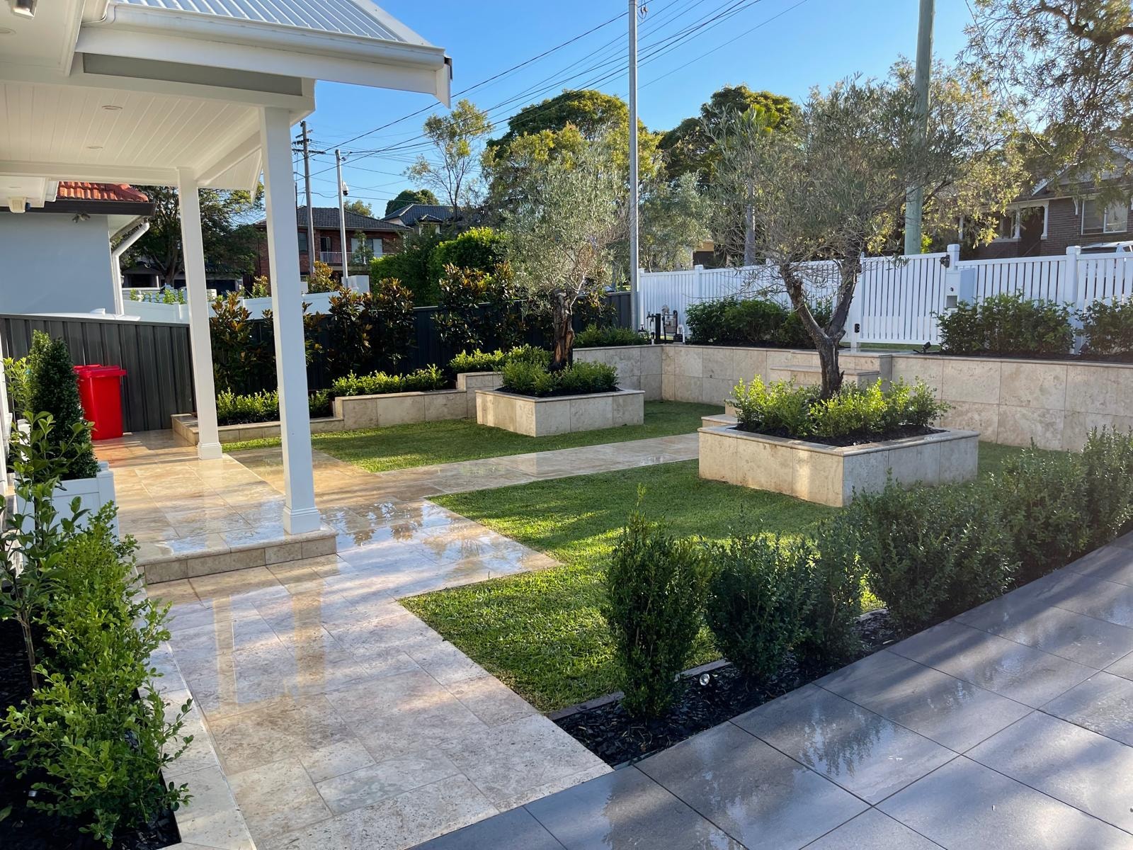 Formal garden with travertine paving, raised sandstone planter beds, olive trees and manicured hedges