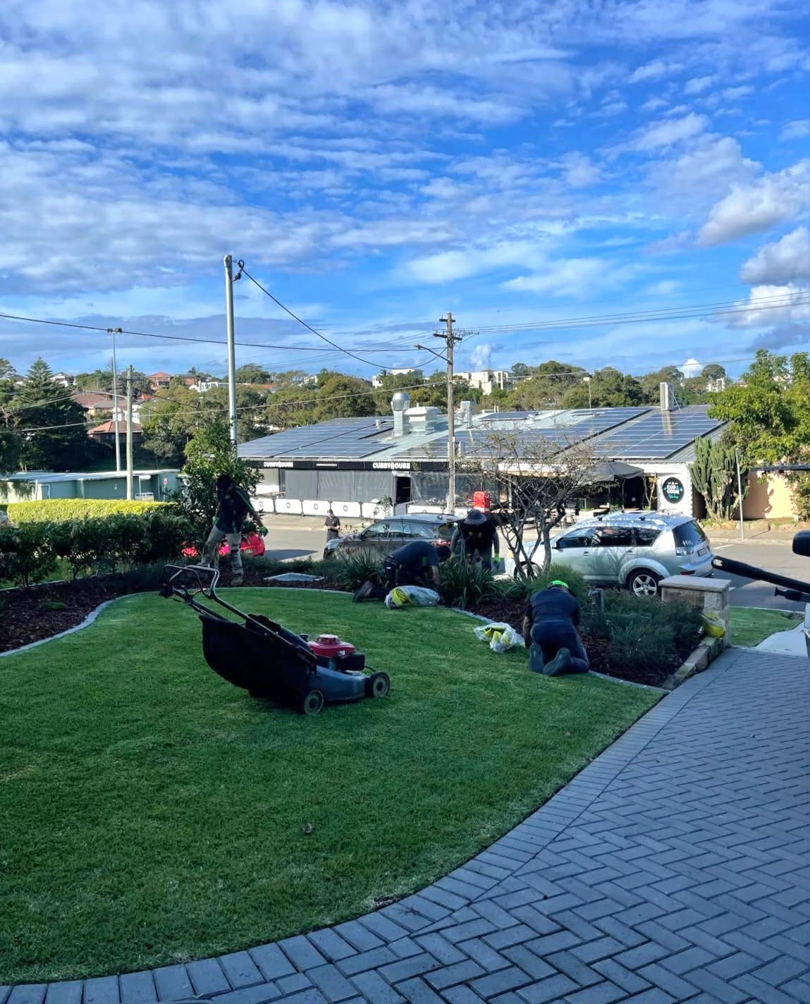 Weed control service by GPC Landscapes