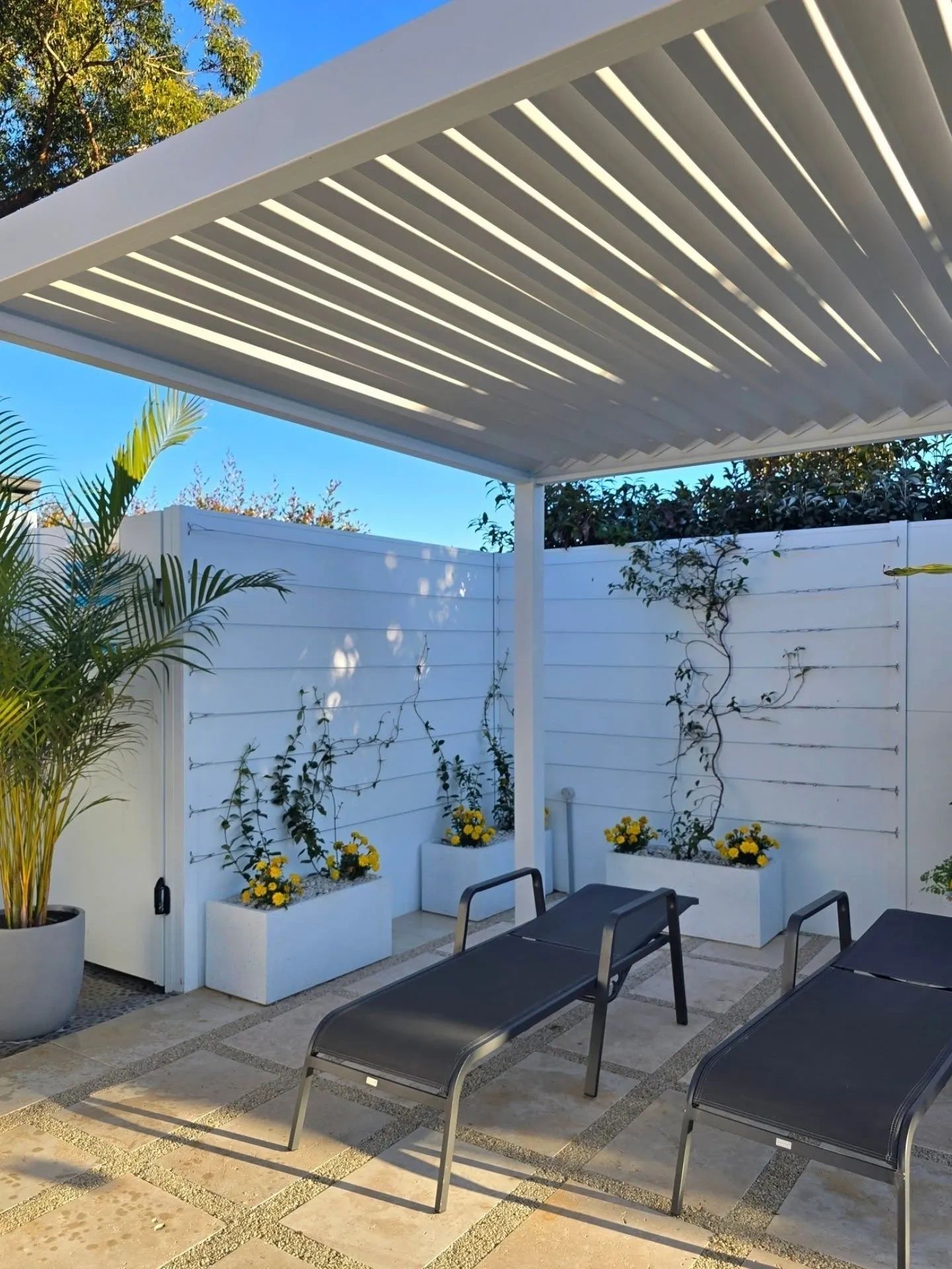 Modern pergola with lighting