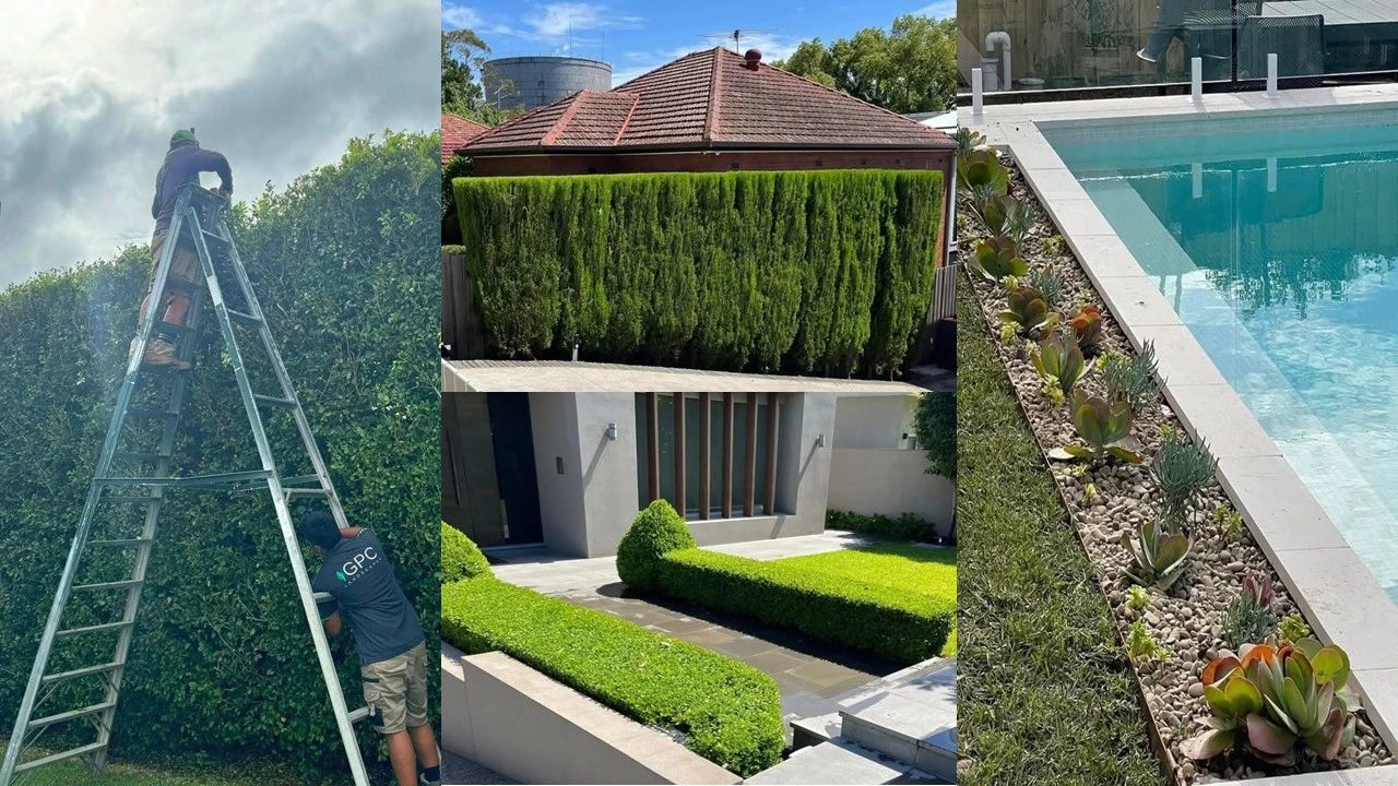 Hedging and pruning service by GPC Landscapes